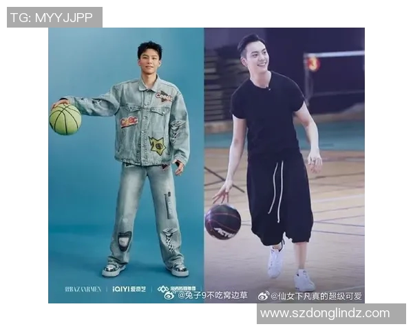 篮球综艺节目中的明星组合盘点与推荐解析